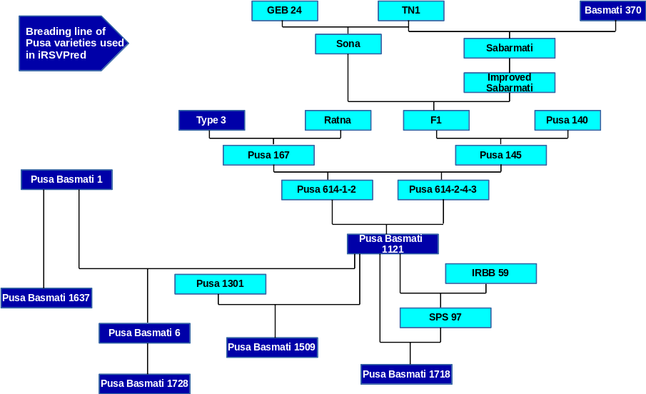 Breeding Line