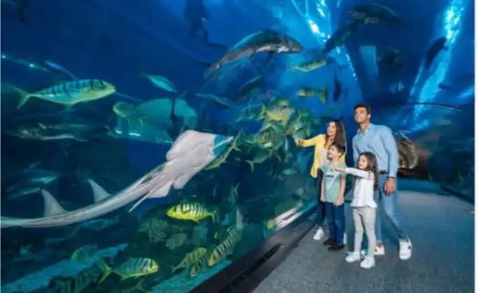 a family standing inside the Dubai Mall Aquarium tunnel