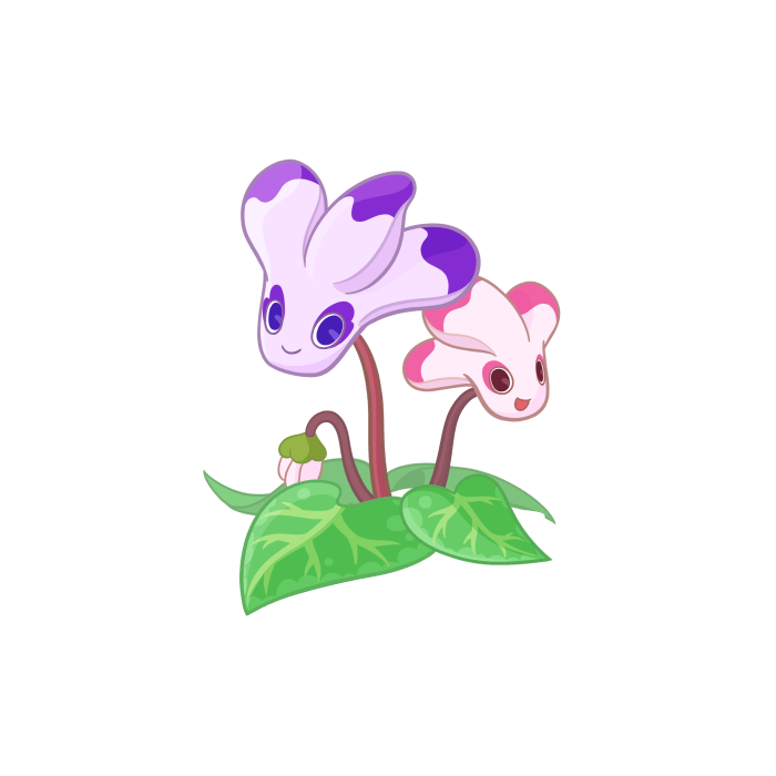 Cyclamen