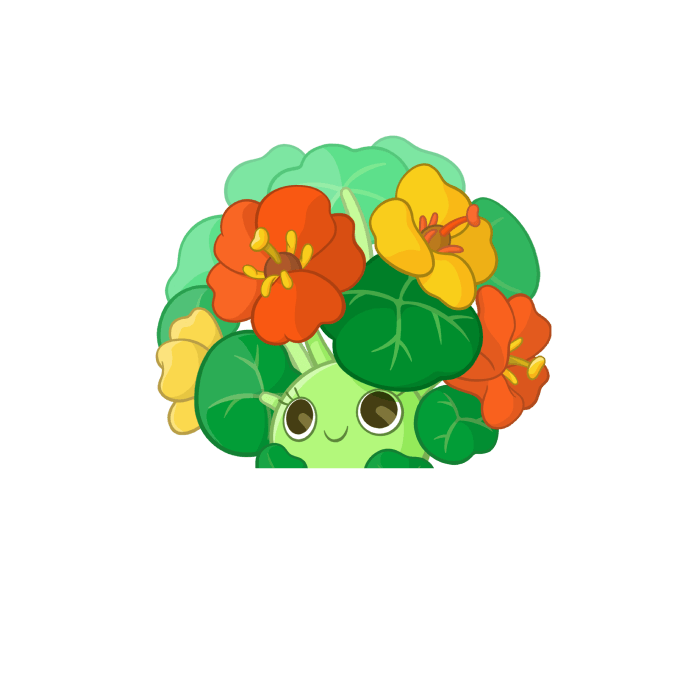 Nasturtium