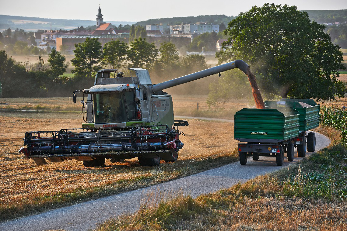 Mähdrescher auf dem Feld