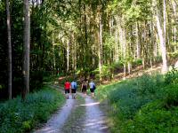  Blick auf die Wanderstrecke 