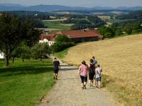  Blick auf die Wanderstrecke beim Weiler Vornholz 