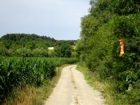  Blick auf die Wanderstrecke 