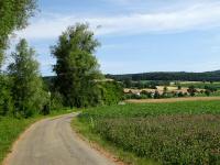  Blick auf die Wanderstrecke wieder zur Melk 