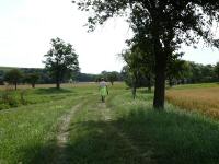  Blick auf die Wanderstrecke entlang der Melk 