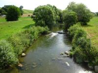  Blick auf die Melk flussaufwärts 