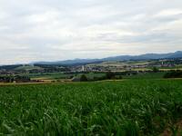  schöner Fernblick nach St. Leonhard am Forst 