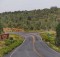 Kaibab National Forest route 64