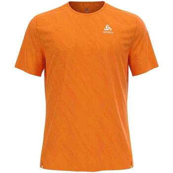 Textiel Heren T-shirts & Polo’s Odlo  Orange