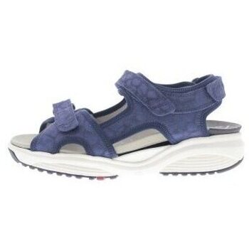 Schoenen Dames Sandalen / Open schoenen Xsensible Nikiti Blauw