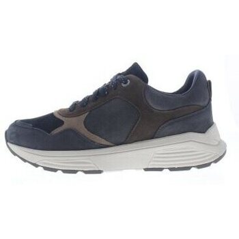 Schoenen Dames Sneakers Xsensible Rialto Blauw