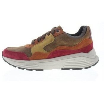 Schoenen Dames Sneakers Xsensible Golden Gate Lady Bordeaux