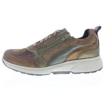 Schoenen Dames Sneakers Xsensible Valletta Other