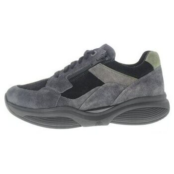 Schoenen Heren Sneakers Xsensible SWX14 Grijs