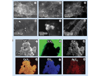 Green synthesis of silver nanoparticles combined to calcium glycerophosphate: antimicrobial and antibiofilm activities