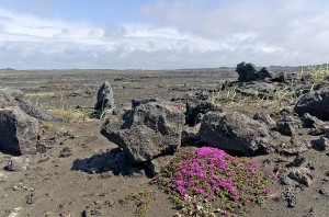 Reykjanes peninsula