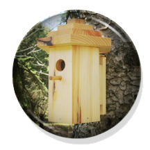 Hexagonal
                        Birdhouse Knotty White Pine