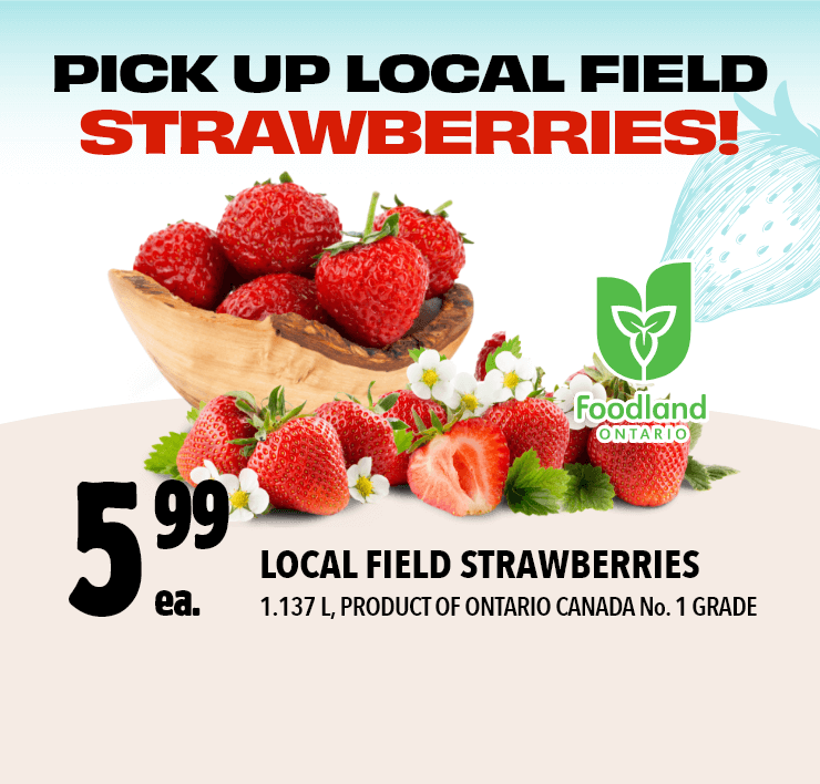 Pick Up Local Field Strawberries!