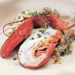 Homard, sauce crème et câpres