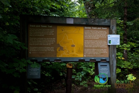 1688573578 Algonquin Park - Track and Tower Trail