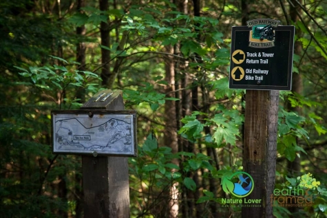 1458341234 Algonquin Park - Track and Tower Trail