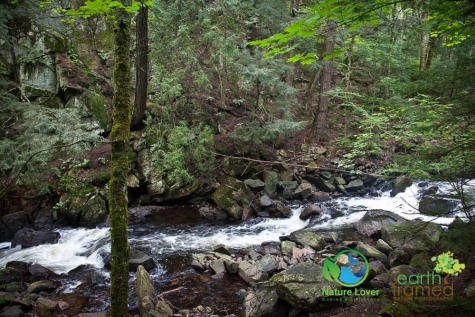 1695343694 Algonquin Park - Track and Tower Trail