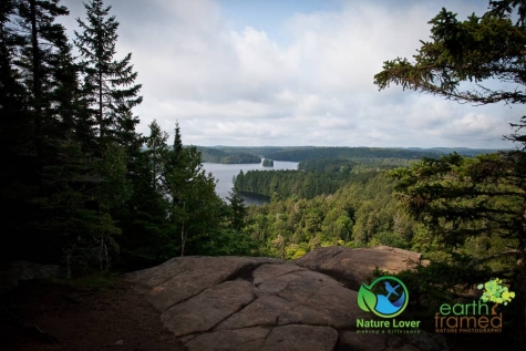 3623297976 Algonquin Park - Track and Tower Trail