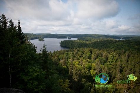 1399728198 Algonquin Park - Track and Tower Trail