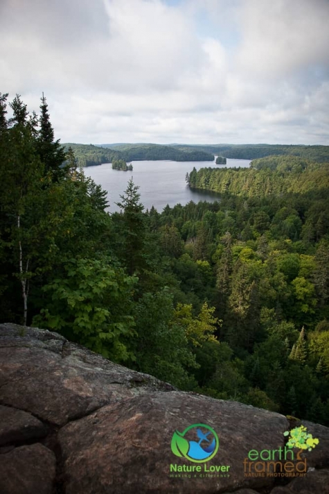 369658618 Algonquin Park - Track and Tower Trail