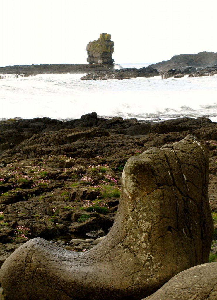 Another shot of the Giant's Boot. Drier this time.