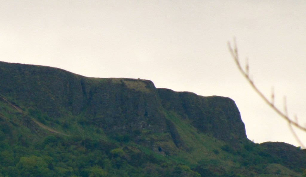 This is the sleeping giant above Belfast. Folks call him Gulliver, and say that he was the inspiration for Swift writing Gulliver's Travels. Hearing them talk, however, I'm unsure whether the giant was named Gulliver before the book was written, or was named that afterwards in honour of Swift.