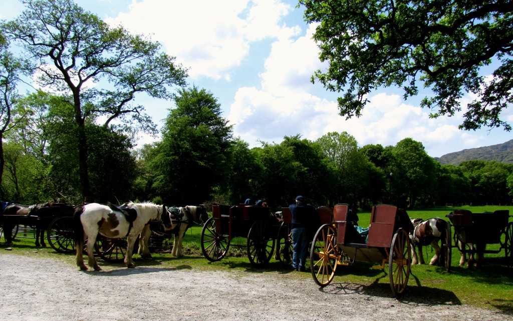 And the horses get a well-deserved rest at the end of the trail.