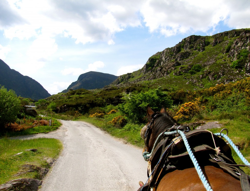 So we started up the gap, me and two charming Irish ladies, and the driver.