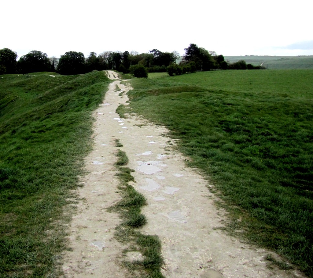 This trail runs along a ridge that has turned out to be part of an earthworks fortification. The path is clay and limestone, and got really slippery in the rain. Because of erosion repair, it only ran about a quarter of the way around the circle, and I couldn't get to the point where the Kennet Avenue led off to the Long Kennet tomb. I was sad.