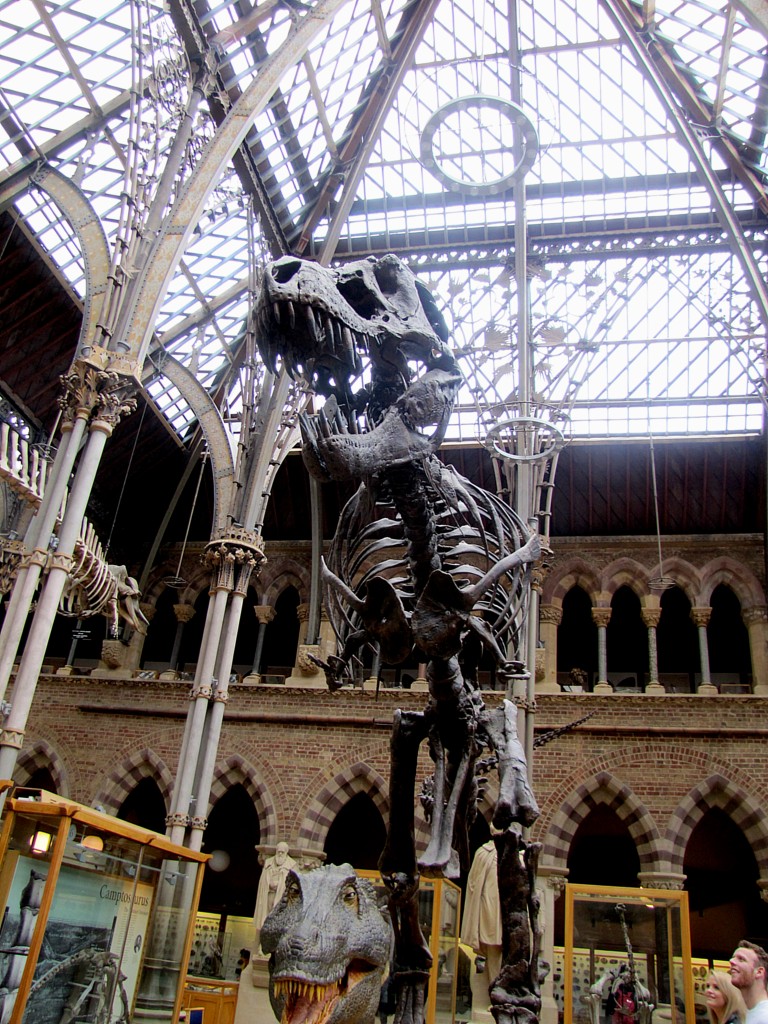 A t-rex skeleton. This one looms really nicely.