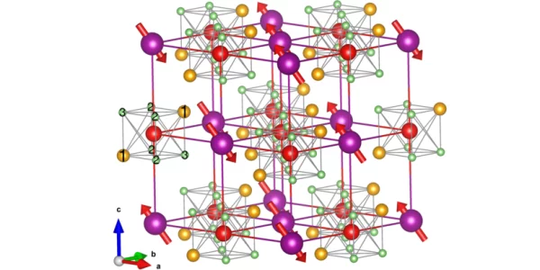 Muon sites in MnO