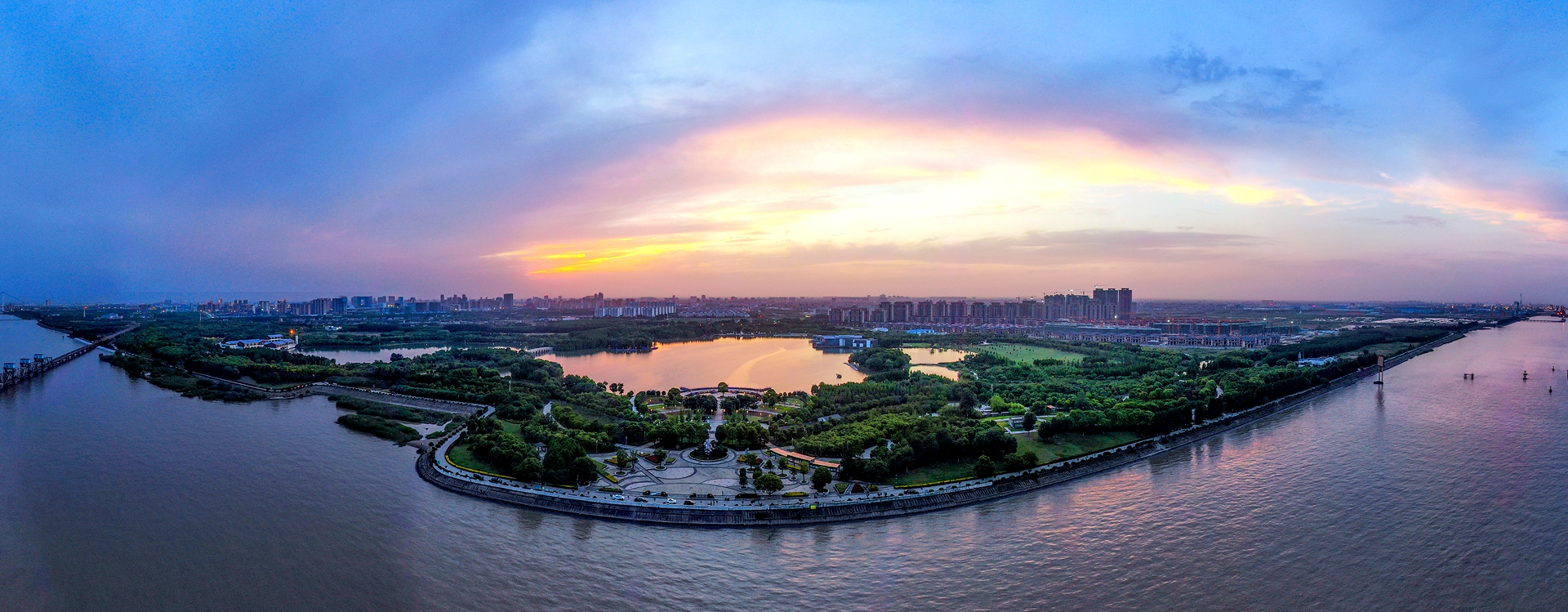 Glorious lotuses come out in full bloom in Jingjiang city