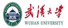 武汉大学