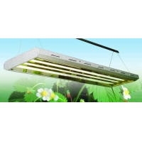 T5ֲ̣grow light, garden