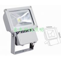 LED100W