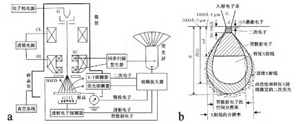 扫描电子显微镜原理