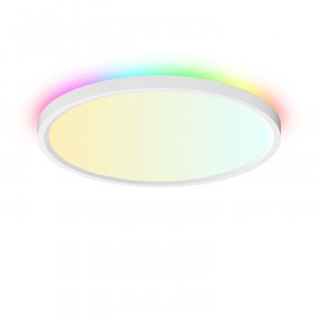 Smart Ceiling Light RGB+IC 24W IP20 PC