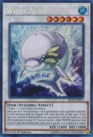 White Aura Dolphin