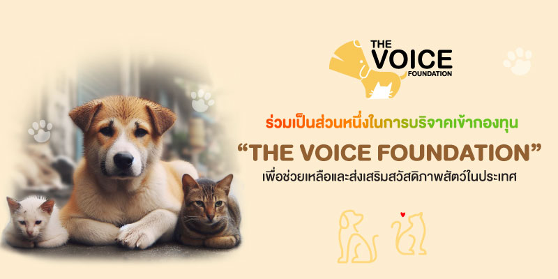 บริจาคเงินให้ มูลนิธิ The Voice (เสียงจากเรา)