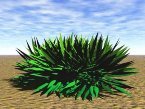 [ » ]  Go to Category: 3D Plants