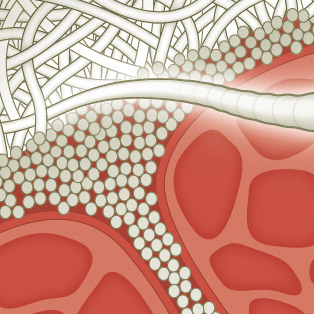 5W Samples - Collagen Thumb