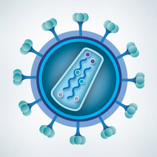 5W Samples - HIV Lifecycle