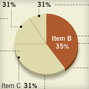 5W Samples - Mediapolis Stylebook 1 - Pie charts