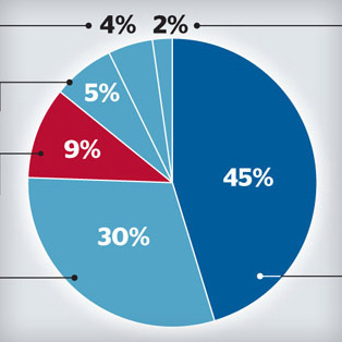 5W Samples - Tamedia Stylebook 1 - Pie charts